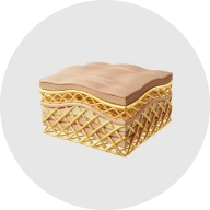 Collagen icon